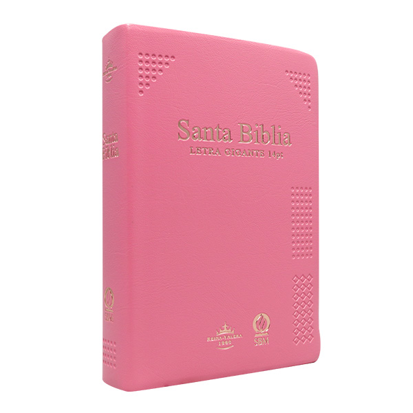 Biblia Reina Valera 1960 Mediana Letra Gigante Vinil Rosa Canto Cobre Afinidad  RVR062cLGiPJR-MEX