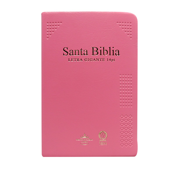 Biblia Reina Valera 1960 Mediana Letra Gigante Vinil Rosa Canto Cobre Afinidad  RVR062cLGiPJR-MEX