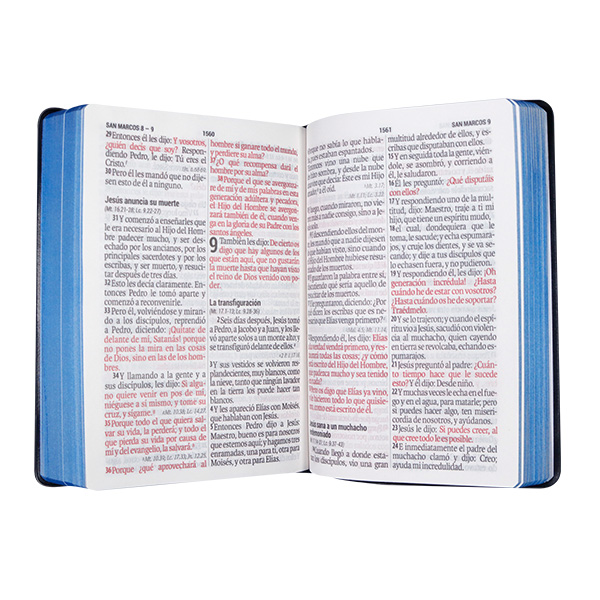 Biblia Reina Valera 1960 Mediana Letra Gigante Vinil Azul Canto Cobre Afinidad  RVR062cLGiPJR-MEX