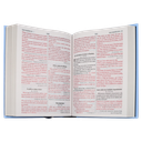 Biblia Reina Valera 1960 Mediana Letra Grande Minimalista Tapa Dura Azul claro [RVR063cLGPJR] 