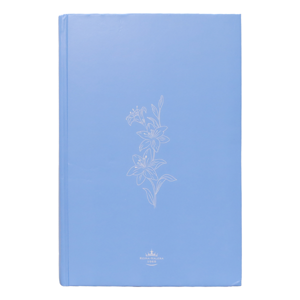 Biblia Reina Valera 1960 Mediana Letra Grande Minimalista Tapa Dura Azul claro [RVR063cLGPJR] 