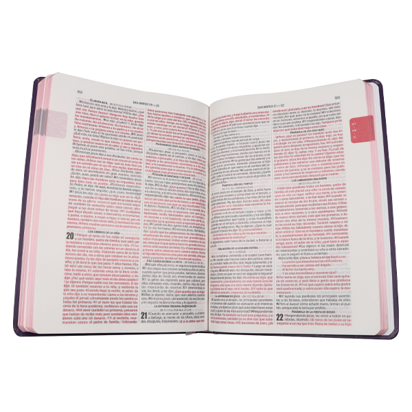 Biblia Reina Valera 1960 Grande Letra Mediana Tapa Dura Slim con margen Morado con Flores [RVR.83cFBPJR] 