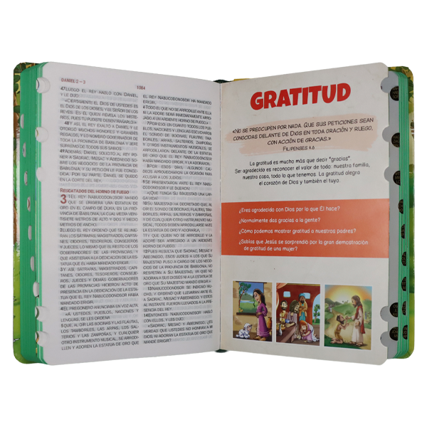 Biblia Infantil Lo que Dios Espera de Mi Reina Valera Contemporánea Mediana Letra Grande Tapa Dura [RVC063cPLGPJRTI] 