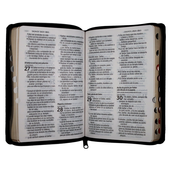 Biblia Reina Valera Contemporánea Mediana Letra Grande Imitación Piel Negro [RVC.66cZTILG] 
