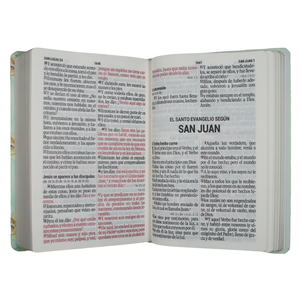 Biblia Reina Valera 1960 Mediana Letra Gigante Lettering Tapa Dura [RVR063cLGiPJR] 