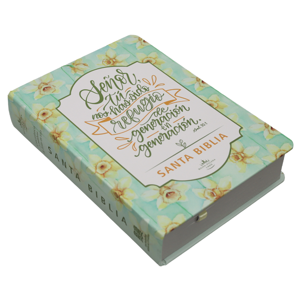 Biblia Reina Valera 1960 Mediana Letra Gigante Lettering Tapa Dura [RVR063cLGiPJR] 