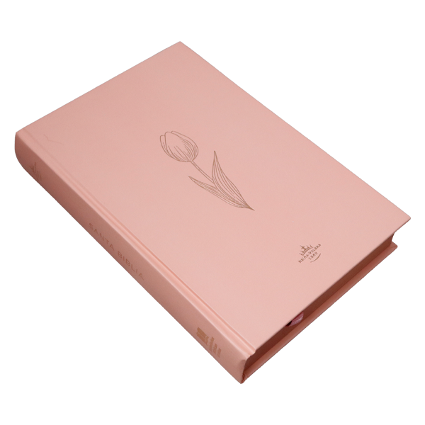 Biblia Reina Valera 1960 Mediana Letra Grande Minimalista Tapa Dura Rosado [RVR063cLGPJR]  