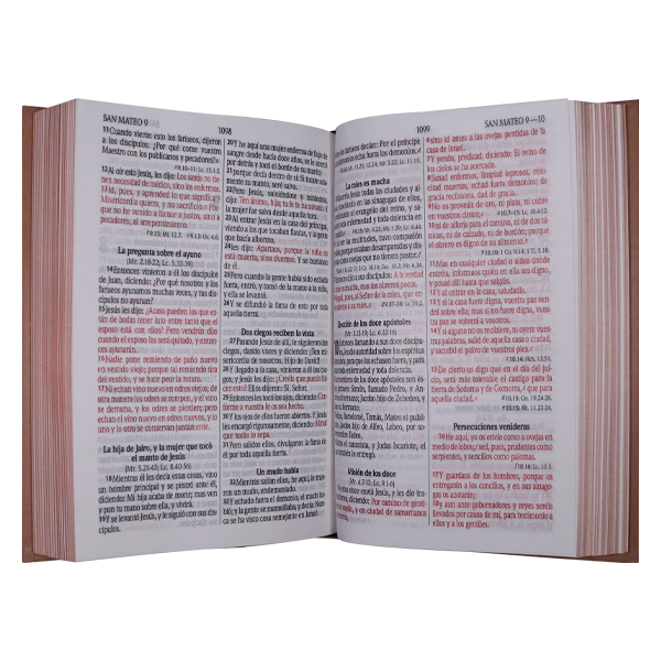 Biblia Reina Valera 1960 Mediana Letra Grande Minimalista Tapa Dura Marrón [RVR063cLGPJR]  