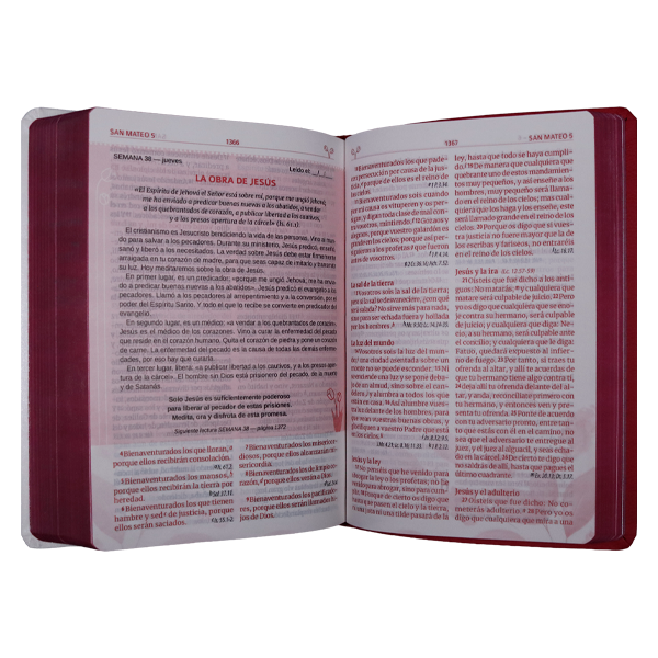 Biblia Reina Valera 1960 Madres que interceden Letra Grande Imitación Piel Fucsia/Rosa [RVR066LGPJR-MI] 