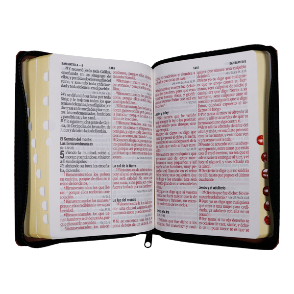 Biblia Reina Valera 1960 Mediana Letra Gigante Imitación Piel León Azul/Marrón [RVR066cLGiPJRZTI] 