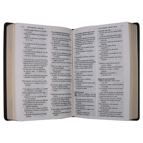 Biblia Reina Valera Contemporánea Mediana Letra Gigante Piel Genuina Negro [RVC.69cLG] 