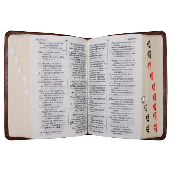 Biblia Reina Valera 1960 Tamaño Bolsillo Letra Mediana Imitación Piel Café [RVR025cTILG] 