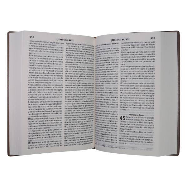 Biblia Reina Valera 1960 Mediana Letra Grande Vinil Árboles Café [RVR062CLG PT] 