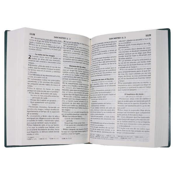 Biblia Reina Valera 1960 Mediana Letra Grande Vinil Árboles Verde [RVR062CLG PT] 