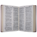 Biblia Reina Valera 1960 Mediana Letra Grande Vinil Marrón [RVR062cLG PE] 