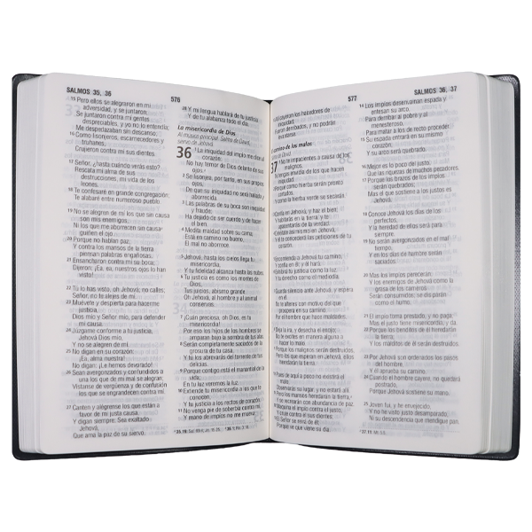 Biblia Reina Valera 1960 Mediana Letra Grande Vinil Verde [RVR062cLG PE] 