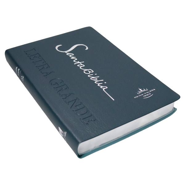 Biblia Reina Valera 1960 Mediana Letra Grande Vinil Verde [RVR062cLG PE] 