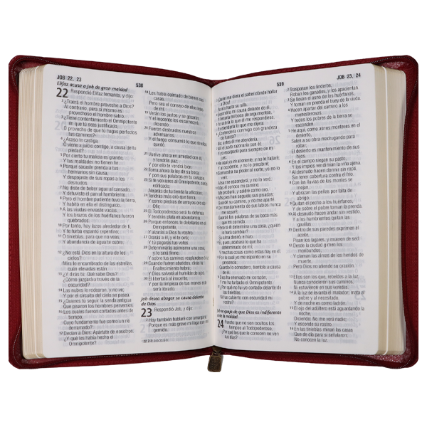 Biblia Reina Valera 1960 Mediana Letra Grande Imitación Piel Vino [RVR065cZLG PE] 