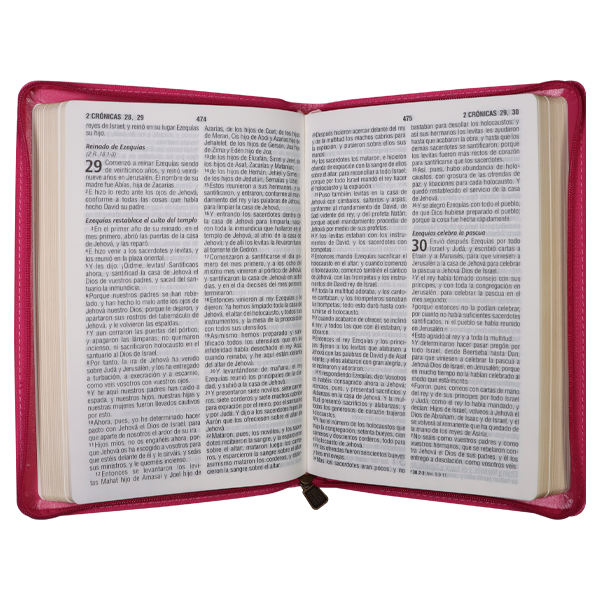 Biblia Reina Valera 1960 Mediana Letra Grande Imitación Piel Fucsia [RVR065cZLG PE] 