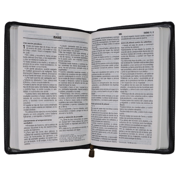 Biblia Reina Valera 1960 Mediana Letra Grande Imitación Piel Gris [RVR065cZLG PE] 