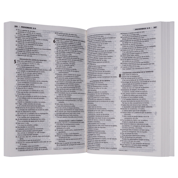 [PAQ. 5 BIBLIAS] 500 Razones para Alcanzar Reina Valera 1960 Mediana Letra Mediana Tapa Rústica [RVR060]