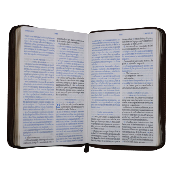 Biblia Vive la Palabra Traducción Lenguaje Actual Mediana Letra Grande Imitación Piel Marrón/Café [TLA.66LGZT] 