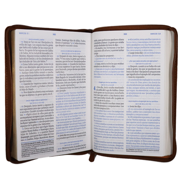 Biblia El Camino La Verdad y La Vida Traducción Lenguaje Actual Mediana Letra Grande Imitación Piel Miel Código QR [TLA066ZLGPPJR] 