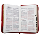 Biblia Reina Valera 1960 Mediana Letra Grande Imitación Piel Beige/Rojo Código QR [RVR066cLGZTIPJR] 