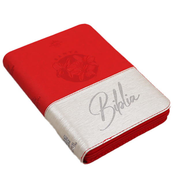 Biblia Reina Valera 1960 Mediana Letra Grande Imitación Piel Beige/Rojo Código QR [RVR066cLGZTIPJR] 