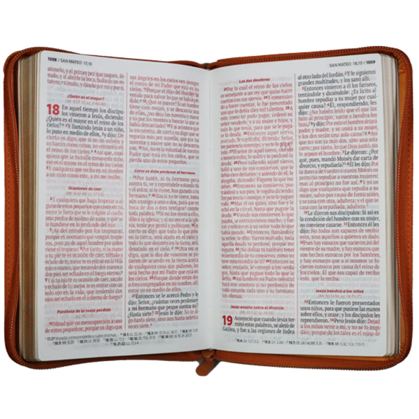 Biblia Sirve y Lidera Reina Valera 1960 Mediana Letra Grande Imitación Piel Mostaza Código QR [RVR066LGZPJR] 