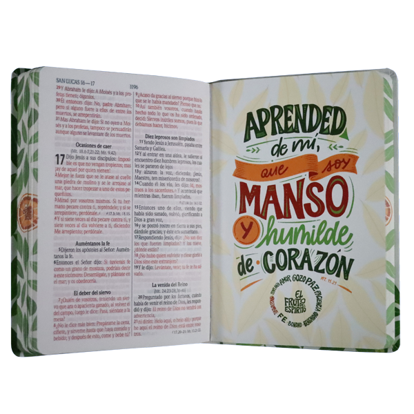 Biblia Reina Valera 1960 Mediana Letra Grande Tapa Dura Colores RVR063cLGPJR-FES Frutos del Espíritu 
