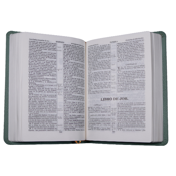 Biblia Reina Valera 1909 Mediana Letra Chica Imitación Piel Menta VR055 SS 