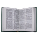 Biblia Reina Valera 1909 Mediana Letra Chica Imitación Piel Menta VR055 SS 