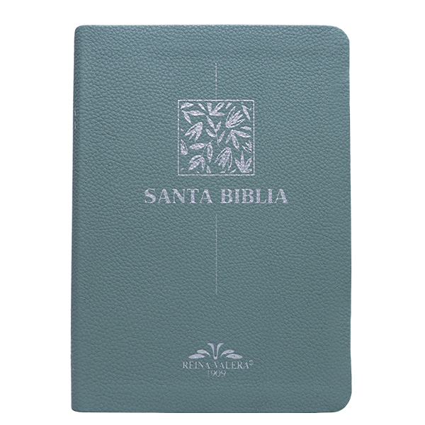 Biblia Reina Valera 1909 Mediana Letra Chica Imitación Piel Menta VR055 SS 