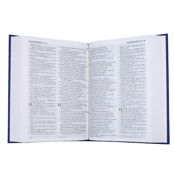 Biblia Bilingüe Español Reina Valera Rev. 60-Koreano Versión Revisada Mediana Letra Chica Tapa Dura Colores NKRVR83DI 