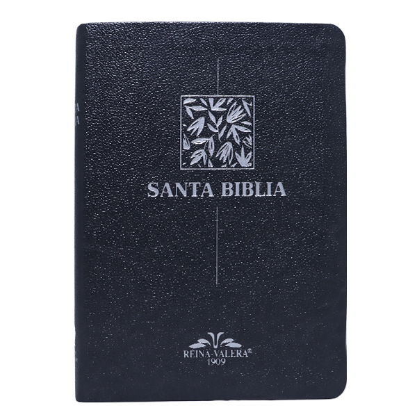 Biblia Reina Valera 1909 Mediana Letra Chica Imitación Piel Gris VR055 SS 