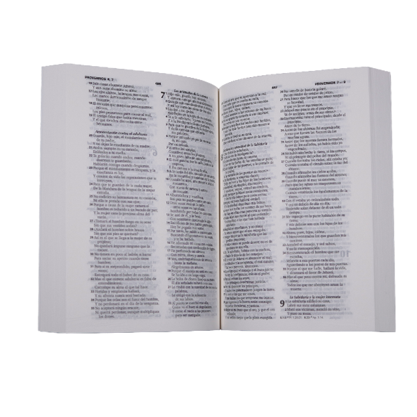 Biblia Reina Valera 1960 Chica Letra Chica Rústica Flores Rosa RVR040e DF 