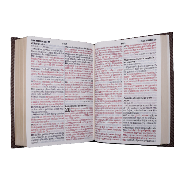 Biblia Reina Valera 1960 Grande Letra Gigante Tapa Dura Café RVR083cLGiPJR MN 