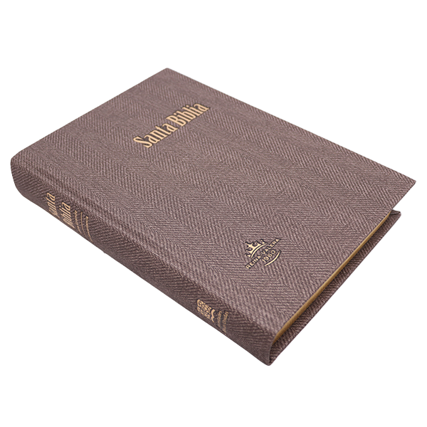 Biblia Reina Valera 1960 Grande Letra Gigante Tapa Dura Café RVR083cLGiPJR MN 