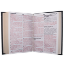 Biblia Reina Valera 1960 Grande Letra Gigante Tapa Dura Gris RVR083cLGiPJR MN 