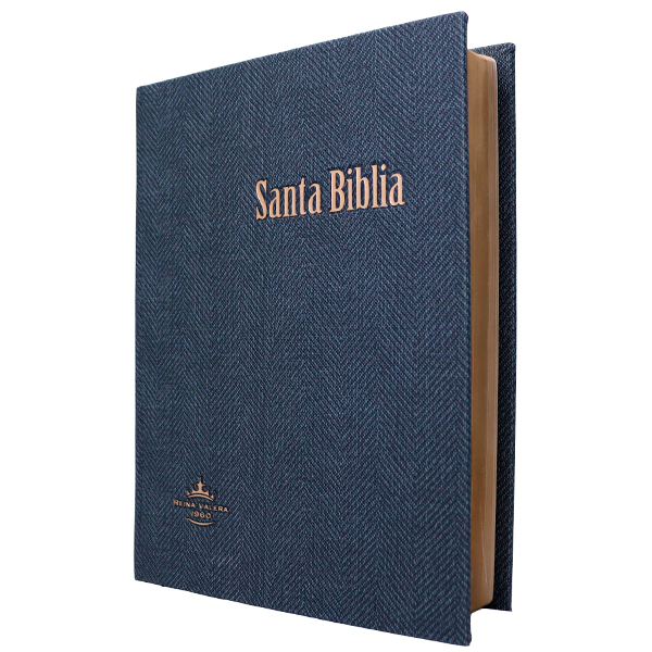 Biblia Reina Valera 1960 Grande Letra Gigante Tapa Dura Gris RVR083cLGiPJR MN 