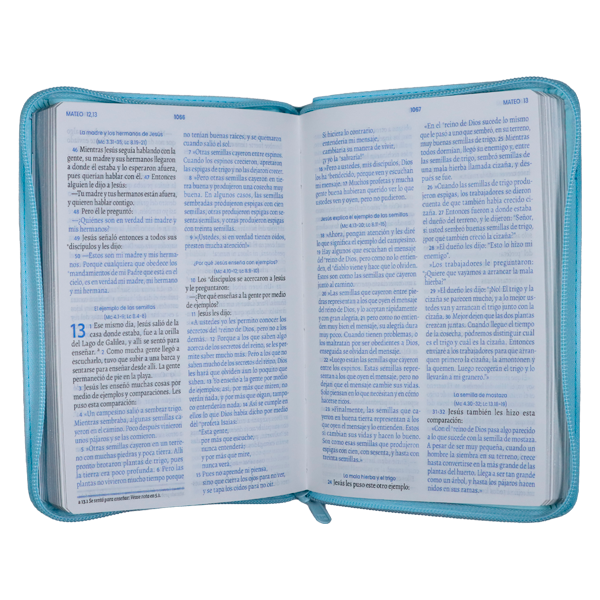 Biblia Mujer Ejemplar Traducción Lenguaje Actual Mediana Letra Grande Imitación Piel Azul Cierre PJR [TLA066LGZPJR]  