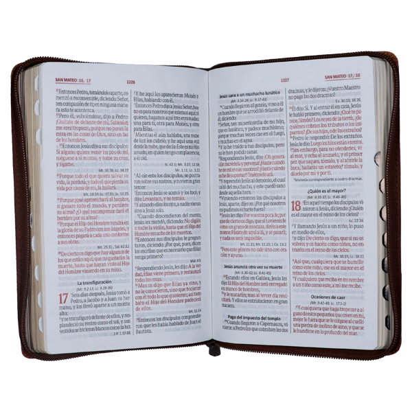 Biblia Reina Valera 1960 Mediana Letra Grande Imitación Piel Camel/ Café QR Cierre Índice PJR [RVR066cLGZTIPJR]  
