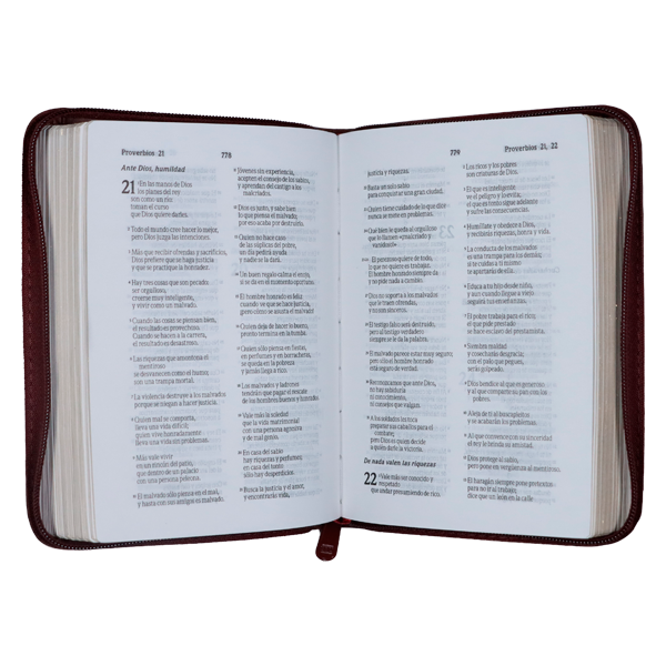 Biblia Traducción Lenguaje Actual Chica Letra Chica Imitación Piel Café Cierre [TLA.46ZLM] 