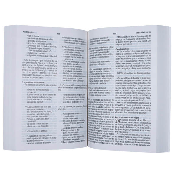 Biblia Traducción Lenguaje Actual Mediana Rústica TLA60LG Encarcelados 