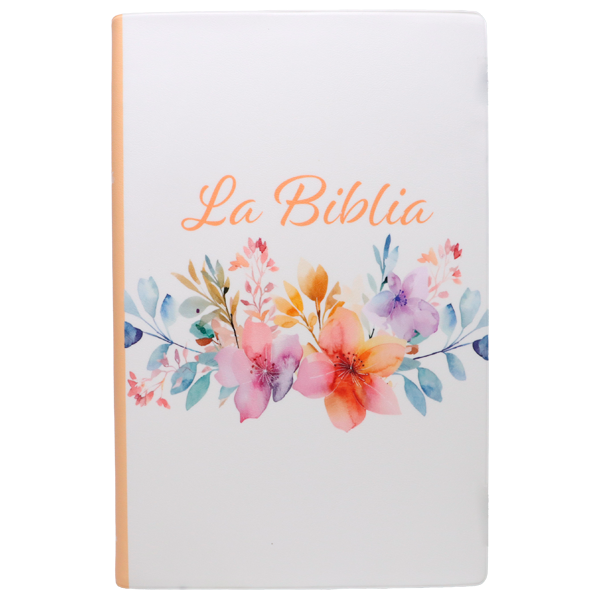 Biblia Traducción Lenguaje Actual Mediana Letra Grande 11 pts Vinil  TLA062LG Amaranth 