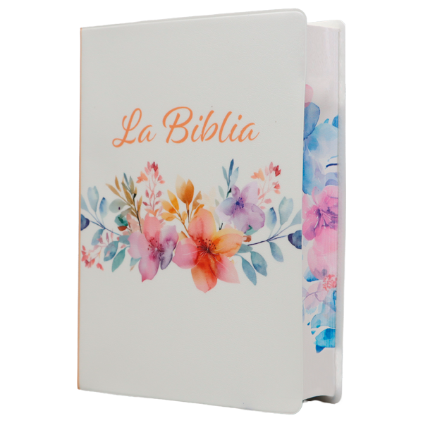 Biblia Traducción Lenguaje Actual Chica Letra Grande 8 pts Vinil TLA042LG Amaranth 
