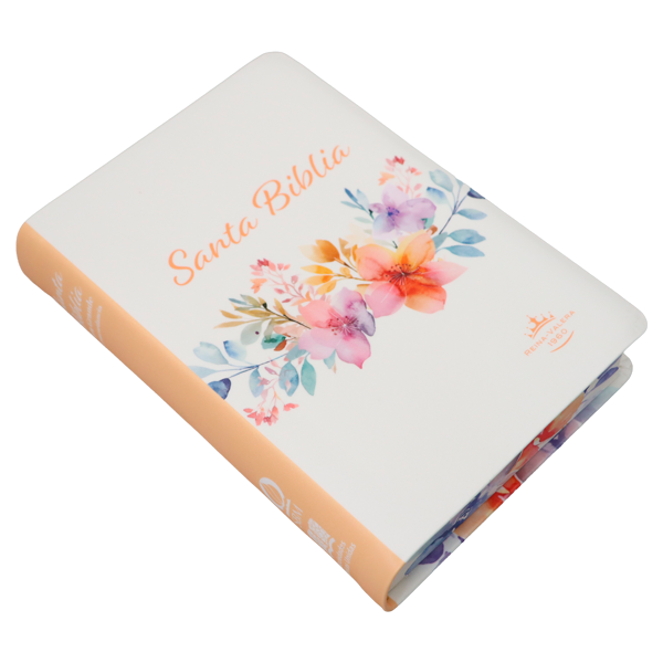 Biblia Reina Valera 1960 Mediana Letra Gigante 14 pts Imitación Piel PU RVR065cLGiPJR Amaranth 