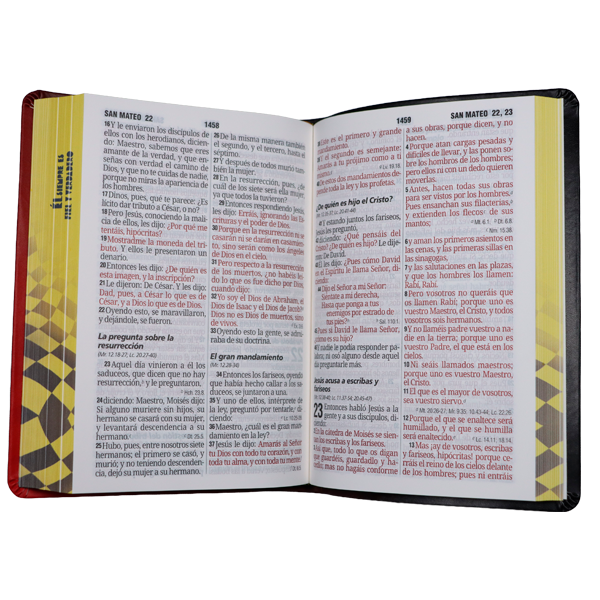 Biblia Reina Valera 1960 Mediana Letra Gigante 14 pts Imitación Piel PU RVR065cLGiPJR Fiel 
