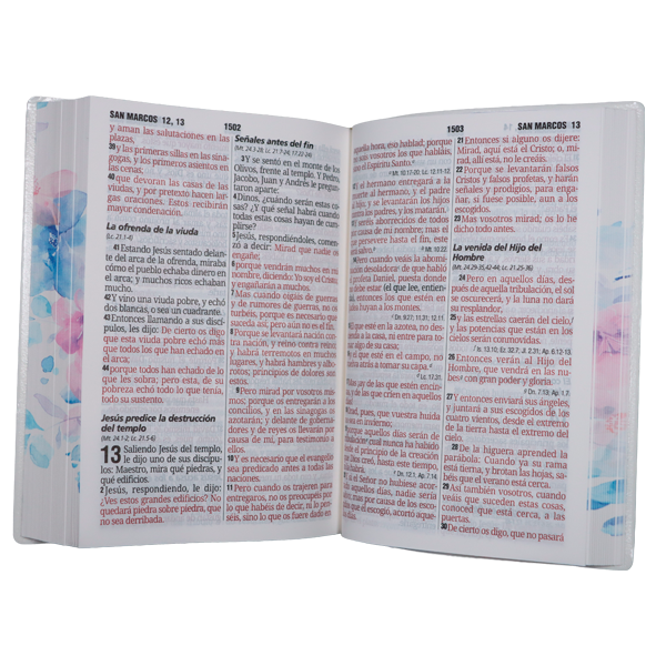Biblia Reina Valera 1960 Mediana Letra Gigante 14 pts Vinil RVR062cLGiPJR Amaranth 